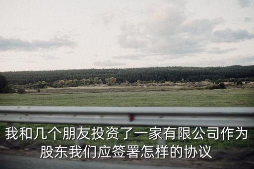 我和幾個朋友投資了一家有限公司作為股東我們應簽署怎樣的協議
