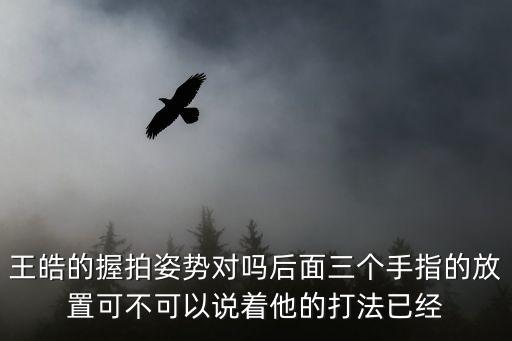 王皓握拍，請問各位直拍高手王皓許昕馬琳他們握拍都是用食指勾住板柄