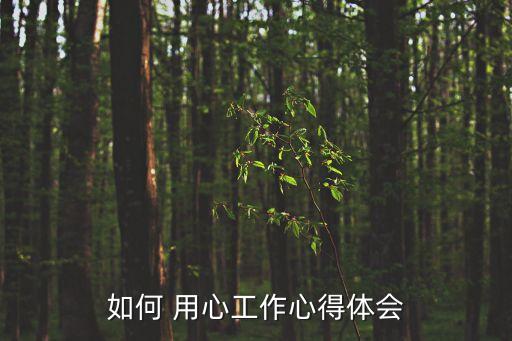 用心工作,認真聽取上級分配任務了解工作內容目標
