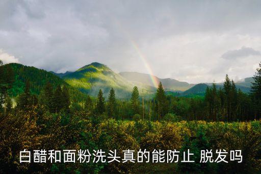 白醋和面粉洗頭真的能防止 脫發嗎