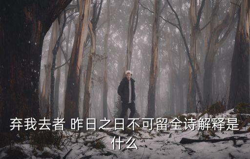 昨日不可留,李白:自大不是人生目標