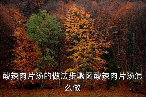 酸辣肉片湯的做法步驟圖酸辣肉片湯怎么做