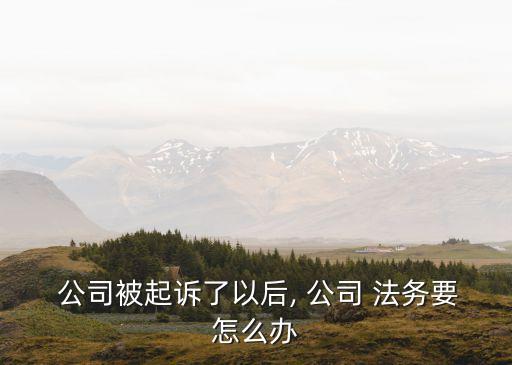  公司被起訴了以后, 公司 法務(wù)要怎么辦