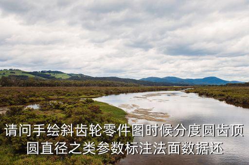 請問手繪斜齒輪零件圖時候分度圓齒頂圓直徑之類參數標注法面數據還