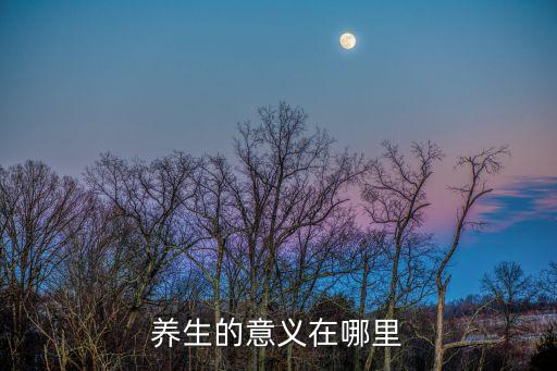 養生的意義在哪里