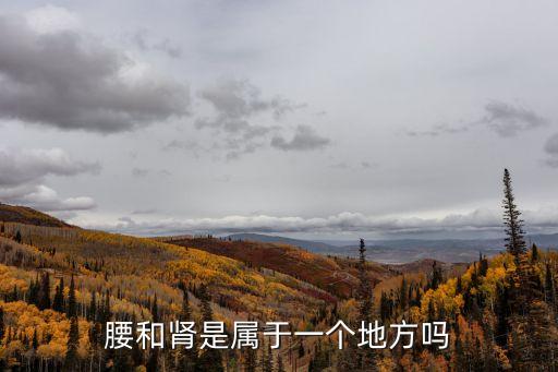腰和腎是屬于一個地方嗎