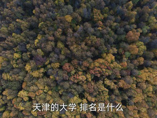 天津大學排名,天津大學排名第10名北京大學第二工學院前身