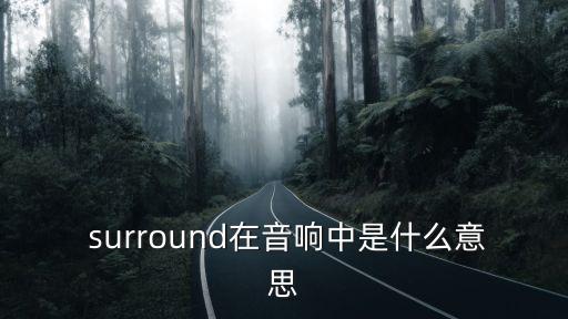 surround,顯示設(shè)置不可用電腦自動(dòng)恢復(fù)正常