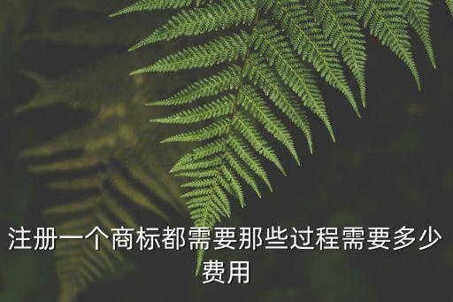 注冊一個商標都需要那些過程需要多少費用