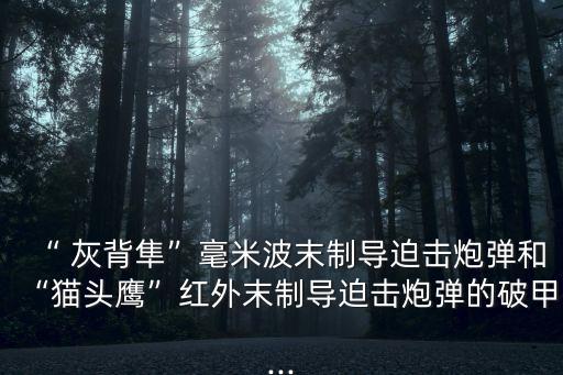 “ 灰背隼”毫米波末制導(dǎo)迫擊炮彈和“貓頭鷹”紅外末制導(dǎo)迫擊炮彈的破甲...