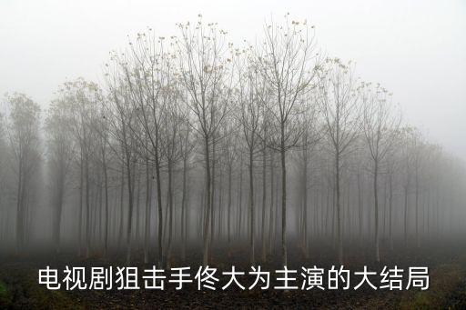 狙擊手結(jié)局，電視劇狙擊手佟大為主演的大結(jié)局