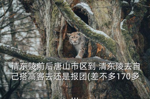 清東陵門票,清東陵周日全天開放售票