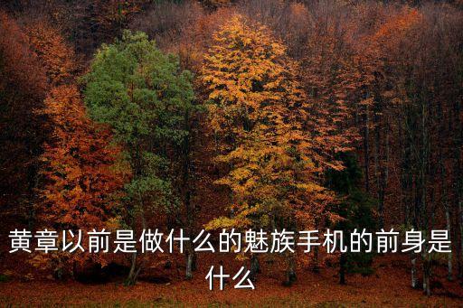 魅族黃章，求魅族老大黃章資料