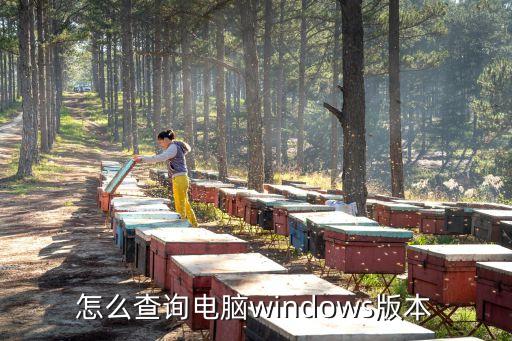 查看電腦系統版本，怎么看電腦系統是什么版本