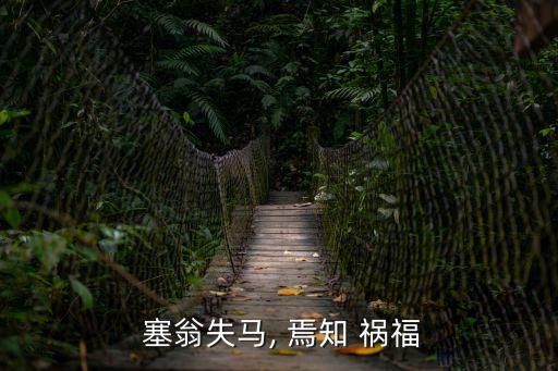 塞翁失馬焉知禍福,塞翁失馬，焉知禍福