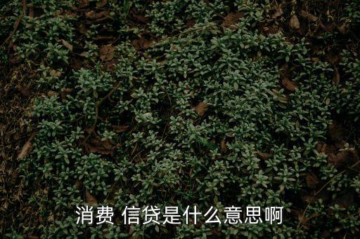 信貸是什么意思,如果你需要信貸建議使用有錢花,大品牌信貸