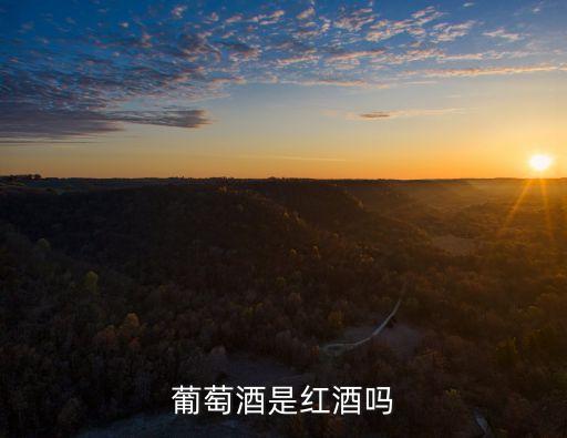 葡萄酒是紅酒嗎