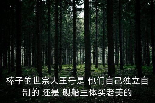 世宗大王級驅逐艦，棒子世宗大王級戰艦的發動機是棒子國自產的嗎