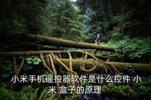 小米盒子是什么,小米發布五款電視盒子型號都是mdz