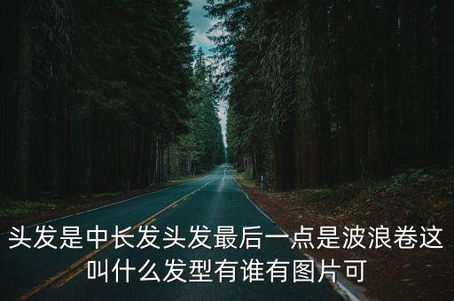 頭發(fā)是中長(zhǎng)發(fā)頭發(fā)最后一點(diǎn)是波浪卷這叫什么發(fā)型有誰有圖片可