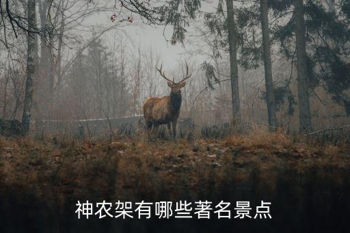 神龍架旅游，神農(nóng)架旅游景點(diǎn) 神龍架都有哪些好玩的旅游景點(diǎn)