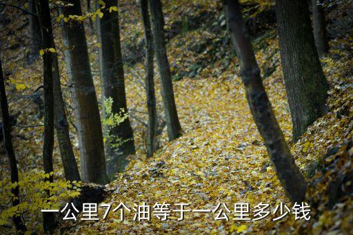 一個(gè)油多少錢,加油口蓋片要完好無損以免汽車油箱溢出