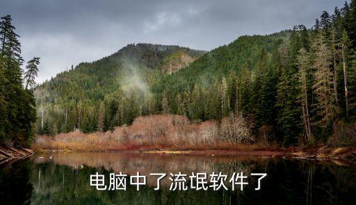 電腦流氓軟件，電腦中了流氓軟件怎么辦