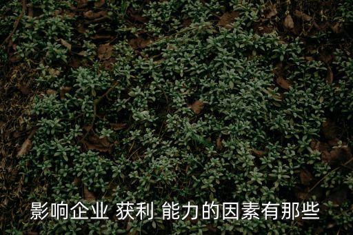 影響企業 獲利 能力的因素有那些