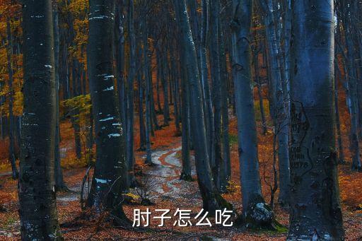  肘子怎么吃