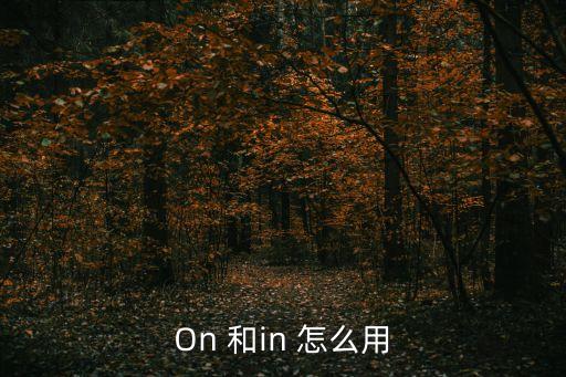On 和in 怎么用