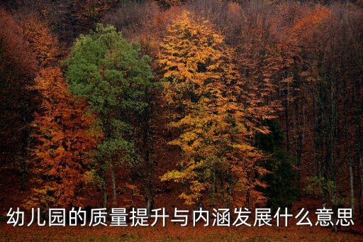 幼兒園的質(zhì)量提升與內(nèi)涵發(fā)展什么意思