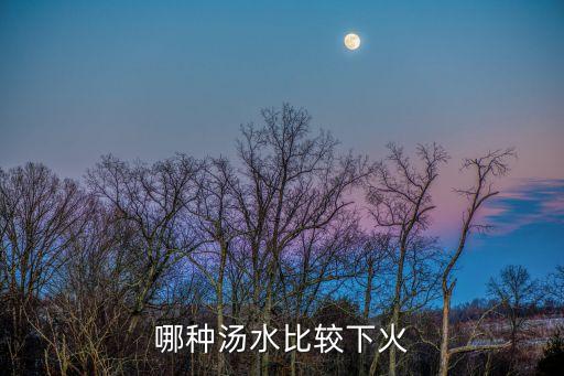 哪種湯水比較下火