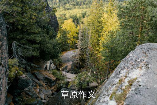 草原作文