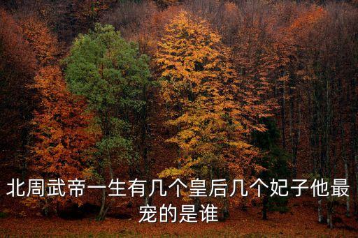 北周武帝一生有幾個皇后幾個妃子他最寵的是誰