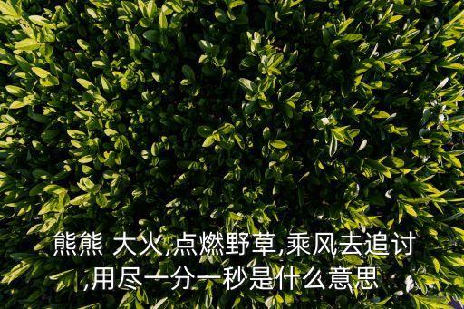  熊熊 大火,點燃野草,乘風去追討,用盡一分一秒是什么意思