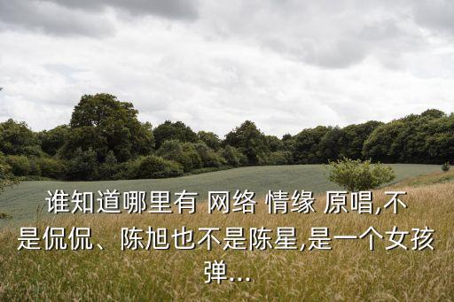 網(wǎng)絡(luò)情緣原唱,網(wǎng)絡(luò)情緣是侃侃的成名作