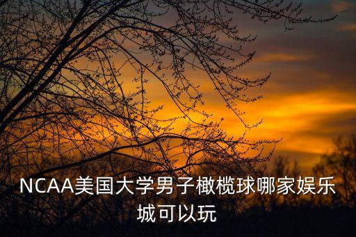 NCAA美國大學男子橄欖球哪家娛樂城可以玩