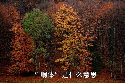 “ 胴體”是什么意思