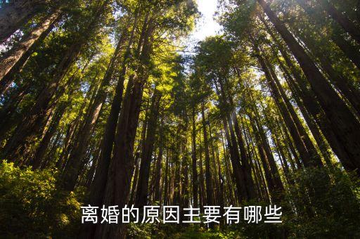 離婚的原因,法院裁定不準(zhǔn)離婚一方再提起訴訟離婚應(yīng)準(zhǔn)予離婚