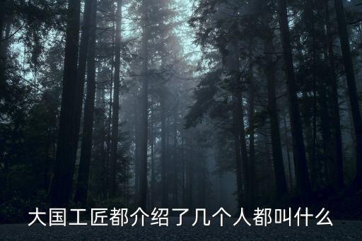 管延安,《大國工匠》第二集:平凡而偉大的人