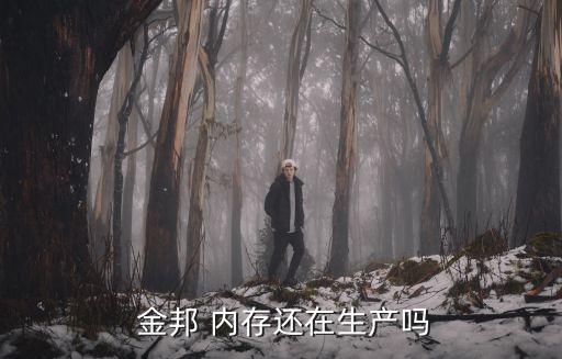 金邦內存,買內存要看穩定性和兼容性金邦比鉑金條貴