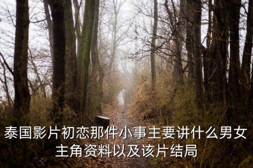 泰國影片初戀那件小事主要講什么男女主角資料以及該片結局