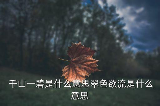 千山一什么,選區(qū)競選廣播