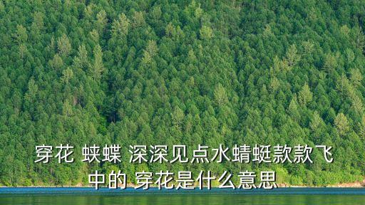 穿花蛺蝶深深見,穿花蝶深深看花叢中來回穿梭