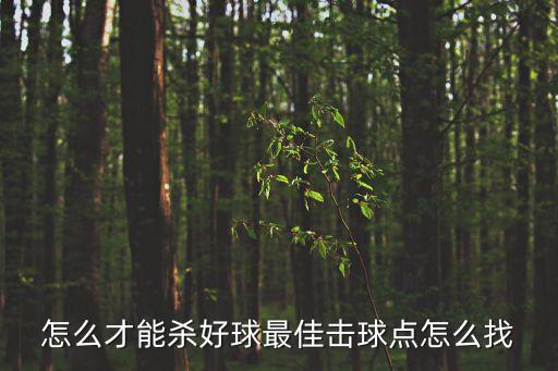 最佳擊球點，怎么才能殺好球最佳擊球點怎么找
