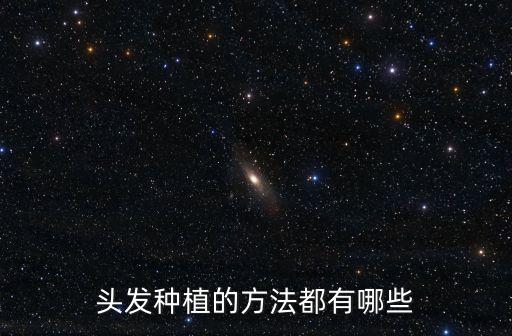 頭發種植的方法都有哪些