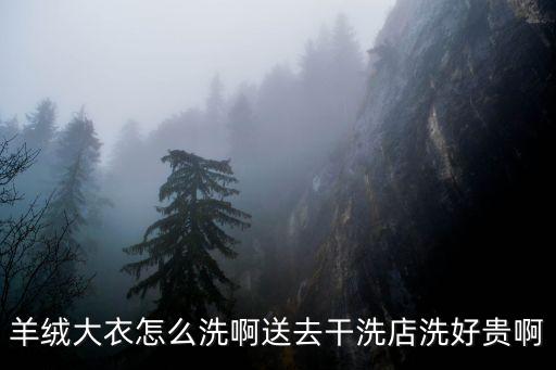 羊絨大衣在家怎么洗，羊絨大衣怎么洗啊送去干洗店洗好貴啊