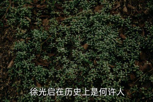  徐光啟在歷史上是何許人