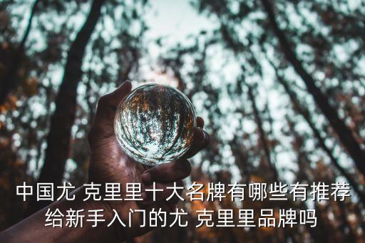中國尤 克里里十大名牌有哪些有推薦給新手入門的尤 克里里品牌嗎
