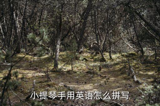 小提琴手用英語怎么拼寫
